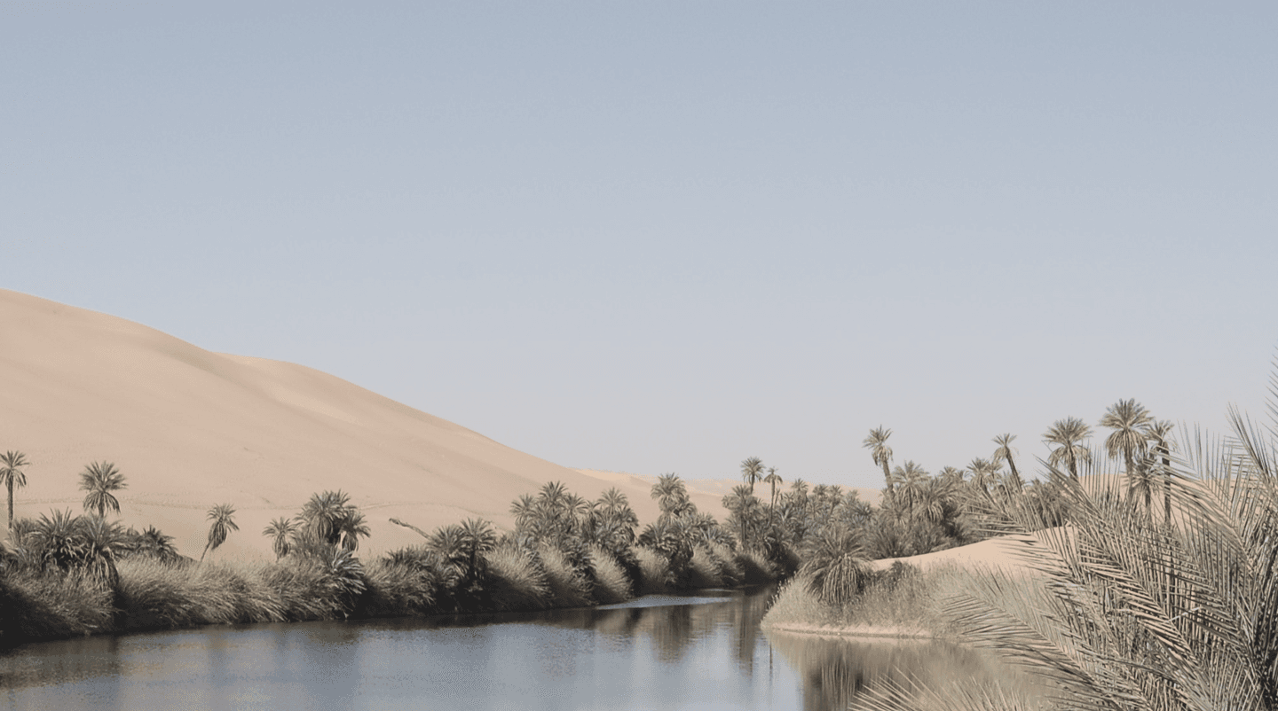 Casa Oasis Paraíso inspiración